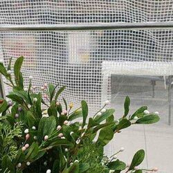 Sera de gradina Tehno MS 1269 4.5x3x2m (White) Thumb