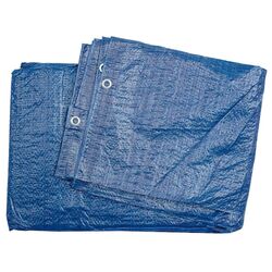 Tent Toya 85118 6x10m (Blue)