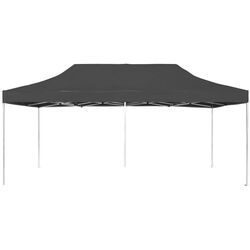 Pavilion de gradina VidaXL 45503 6x3 (Anthracite) Thumb