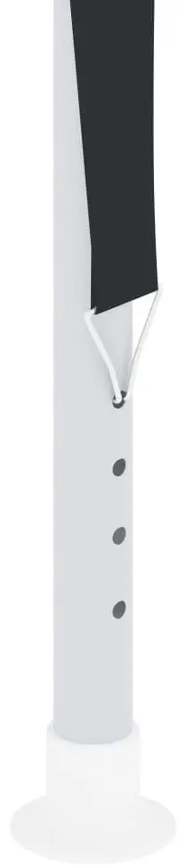 Pavilion de gradina VidaXL 48509 4x6 (Anthracite) - 5