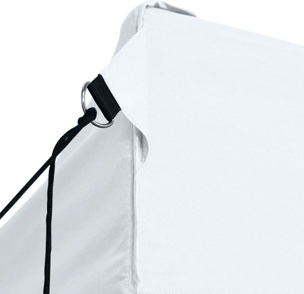 Pavilion de gradina VidaXL 48868 3x6 (White)