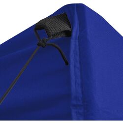 Садовый павильон VidaXL 48879 2x2 (Blue) Thumb