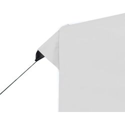 Садовый павильон VidaXL 48934 2x2 (White) Thumb