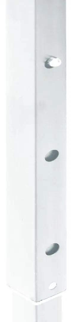 Pavilion de gradina VidaXL 93503 2x2 (White)