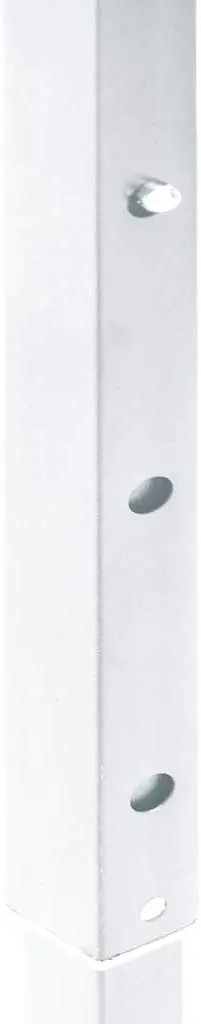 Pavilion de gradina VidaXL 93545 3x6 (White)