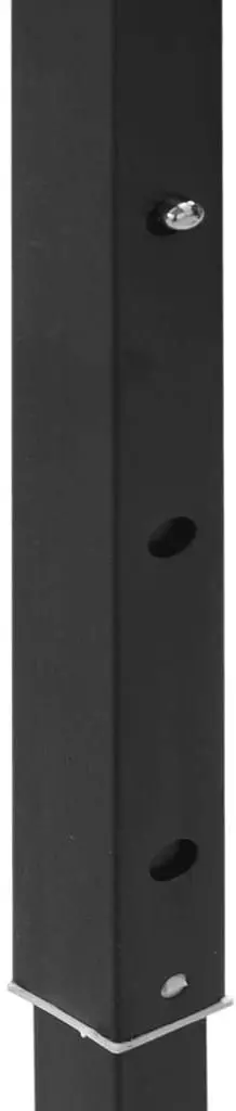 Pavilion de gradina VidaXL 93546 3x6 (Black)