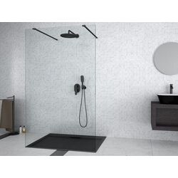 Perete de dus Besco Aveo Due Black ADB-100-195C 100x195 (Transparent) Thumb