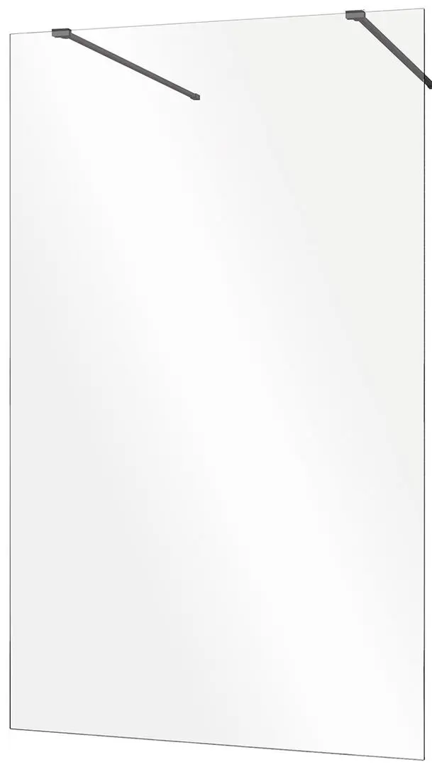 Perete de dus Besco Aveo Due Black ADB-100-195C 100x195 (Transparent)