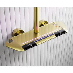 Душевой гарнитур iSink S2 (Gold) Thumb