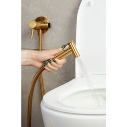 Dus igienic KFA Armatura Moza 5039-512-31 (Gold Matte) Thumb