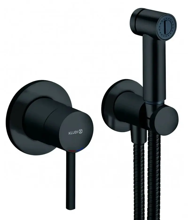 Гигиенический душ Kludi Bozz 389983976 (Black)
