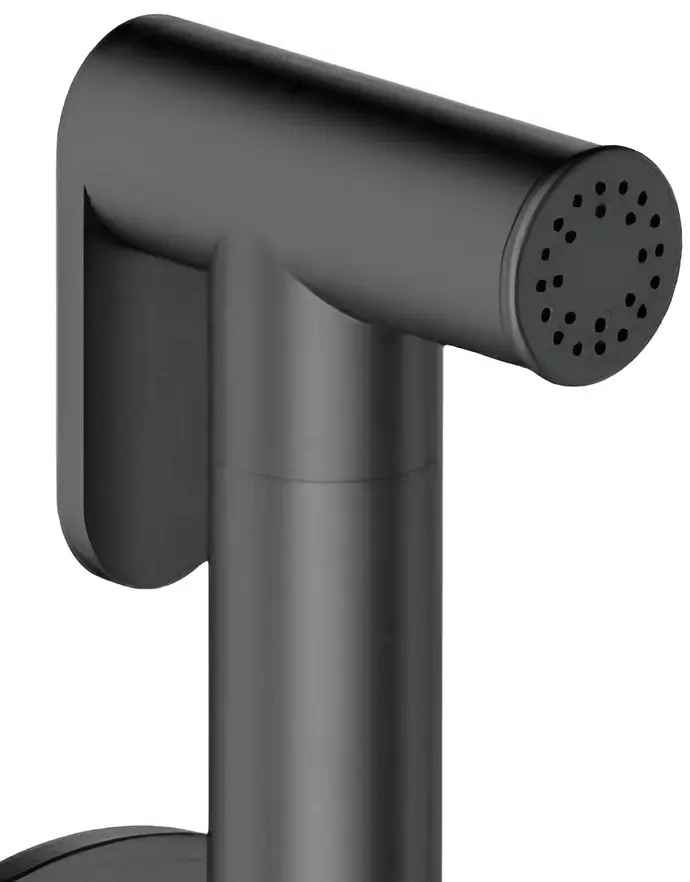 Baterie cu dus igienic Omnires Y SYSYBI2GR (Brushed Graphite)