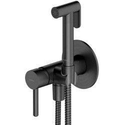 Смеситель с гигиеническим душем Omnires Y SYSYBI2GR (Brushed Graphite)