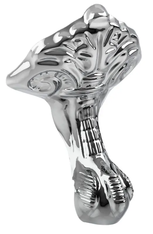 Picioare pentru cadă Roca Newcast Eagles Claw A291094000 (Chrome) - 2