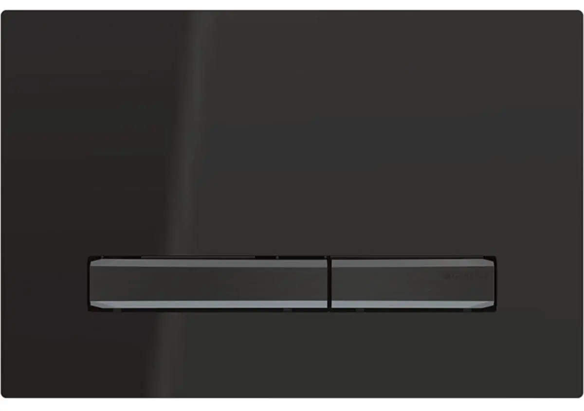 Butonul de scurgere Geberit Sigma50 115.671.DW.2 (Black)