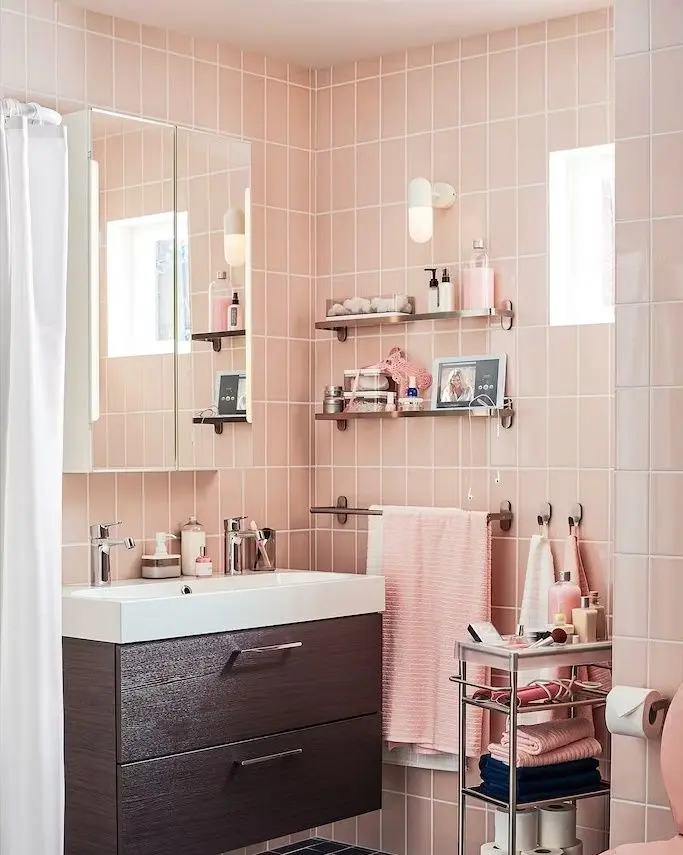 Raft pentru baie Ikea Brogrund 67x11 (Inox/Transparent)