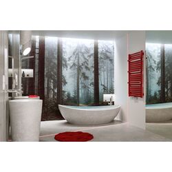 Полотенцесушитель Gorgiel Nadir AD-DR/P 175/55 (Graphite Matt) Thumb