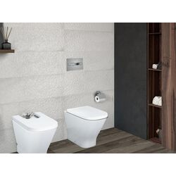 Кнопка смыва Roca PL2 A890096002 (Matte Chrome) Thumb