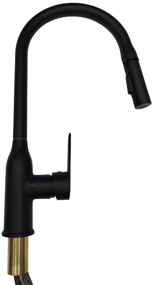 Смеситель для мойки Backer EVF21 (Black)