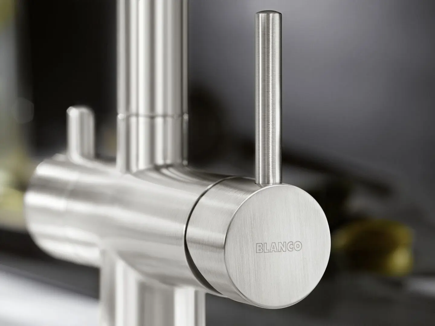 Смеситель для мойки Blanco Fontas II Filter 523129 (Inox)