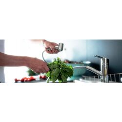 Baterie pentru chiuveta Franke Smart Pull Out Spray (Inox) Thumb