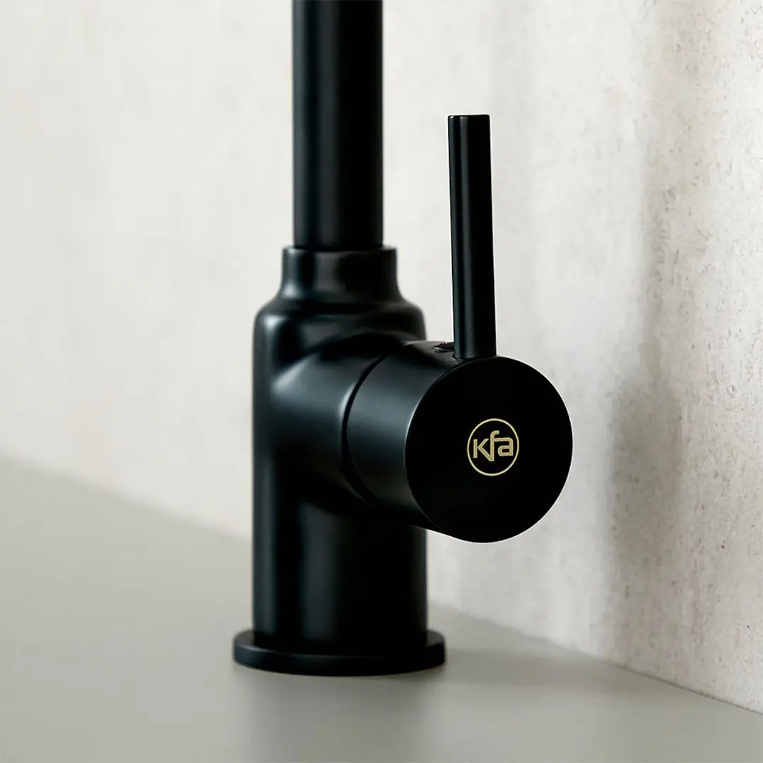 Смеситель для мойки KFA Armatura Neda 5823-915-81 (Black)