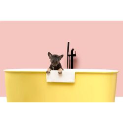 Смеситель для ванны и душа KFA Armatura Logon 5135-510-81 (Black) Thumb