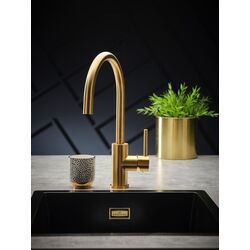 Смеситель для мойки Reginox Cano R30509 (Gold) Thumb