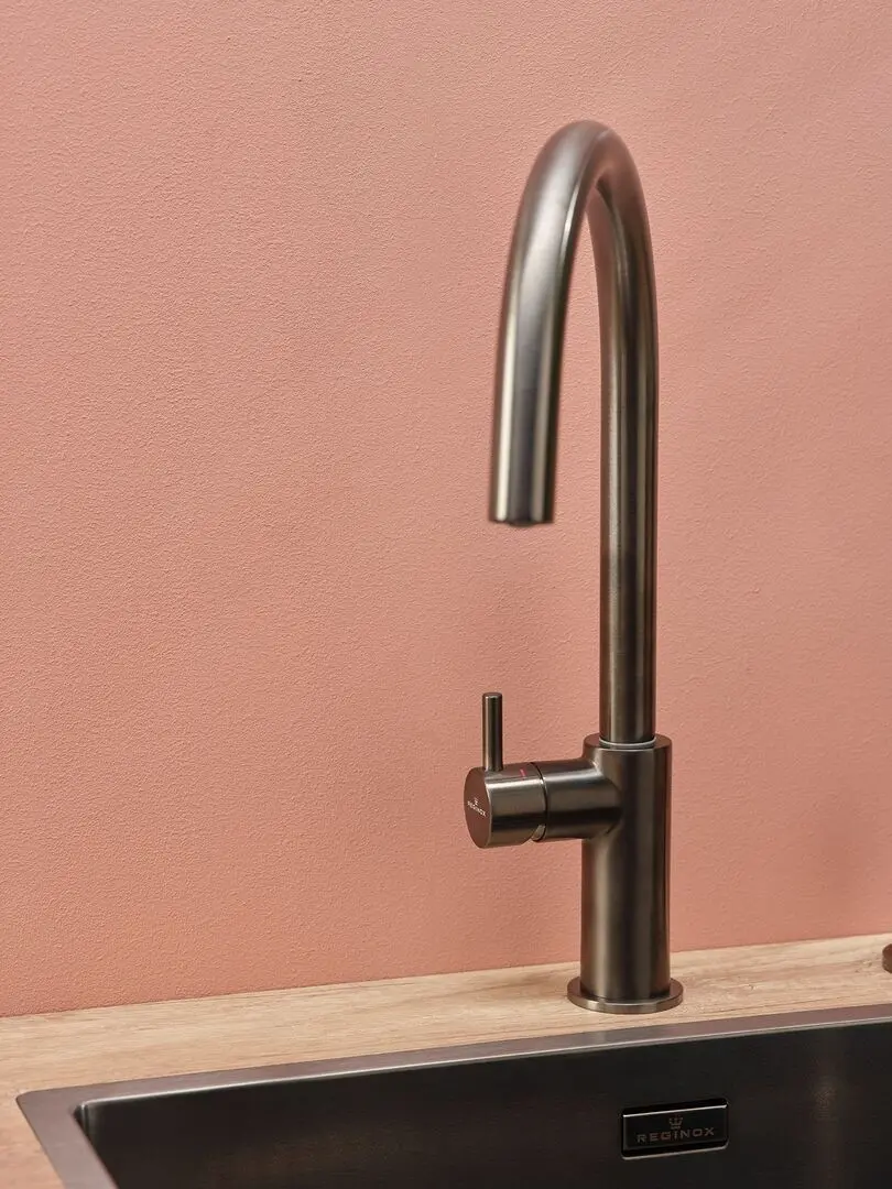 Смеситель для мойки Reginox Levisa R35283 (Gun Metal Silver)