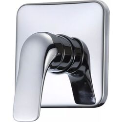 Смеситель для душа скрытого монтажа RJ Flora RBZ072-5C (Chrome) Thumb