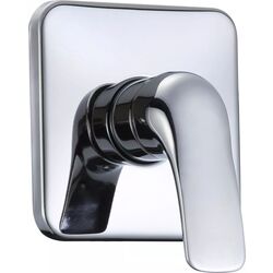 Смеситель для душа скрытого монтажа RJ Flora RBZ072-5C (Chrome)