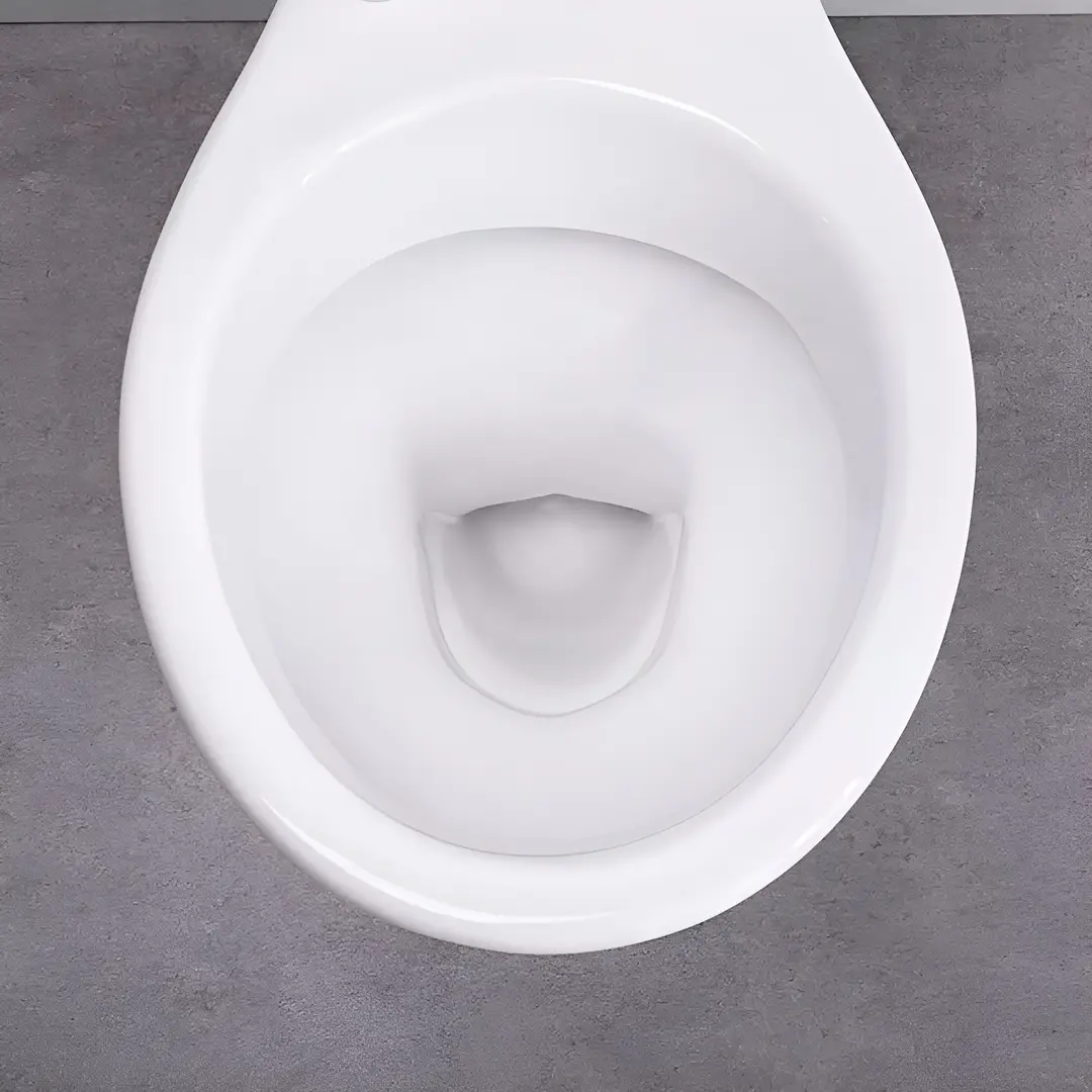 Vas WC cu dus igienic Cersanit President NEW 110204 + Mixxus SUS-333 (White/Inox)