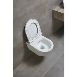 Унитаз подвесной Ege Vitrifiye Knidos 88303 (White Matt) Thumb