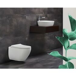 Унитаз подвесной Ege Vitrifiye Knidos 88303 (White Matt) Thumb