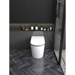 Vas WC iSink 1305986 (White) Thumb