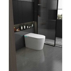 Vas WC iSink 1305986 (White) Thumb