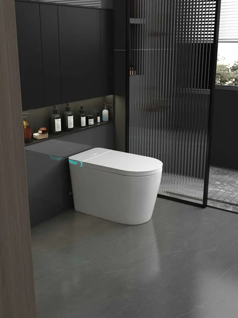 Vas WC iSink 1305986 (White)