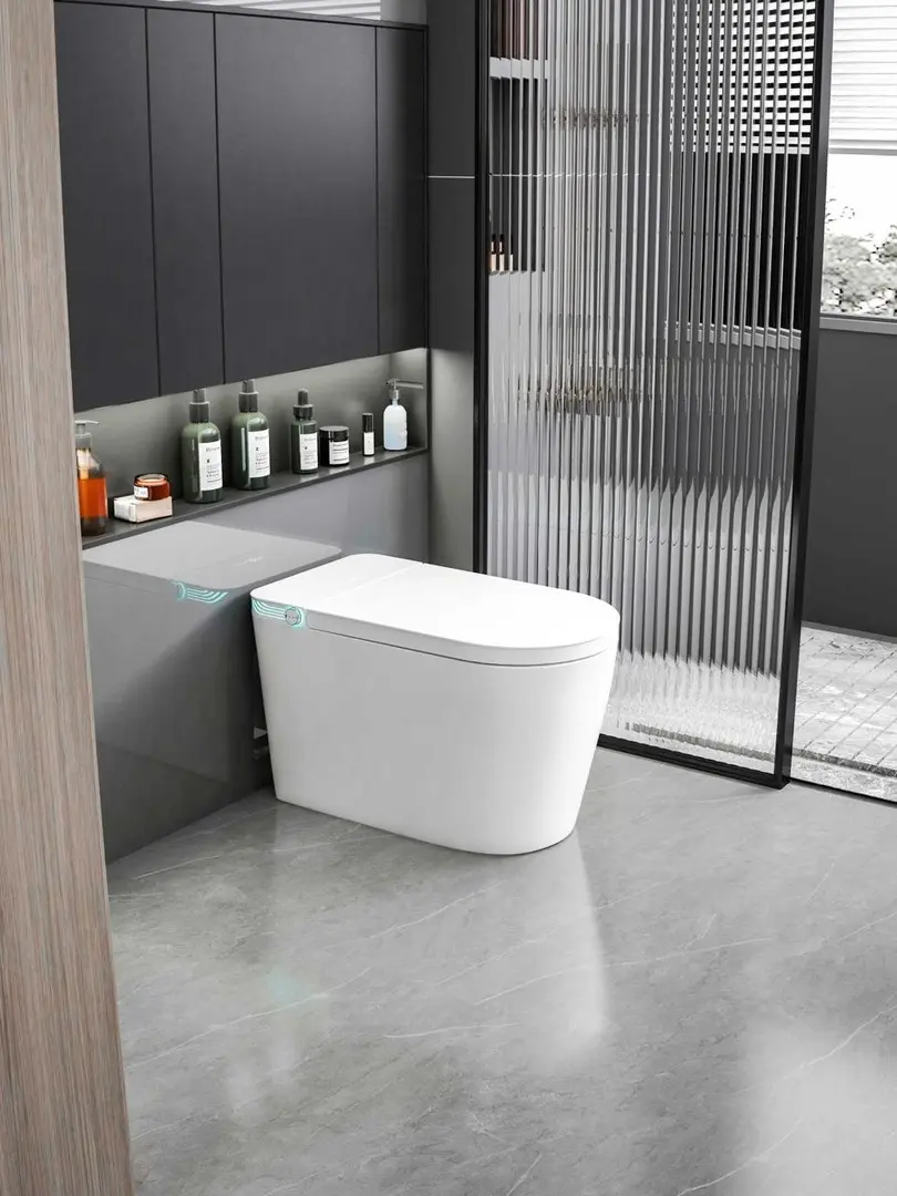 Vas WC iSink 1305986 (White)