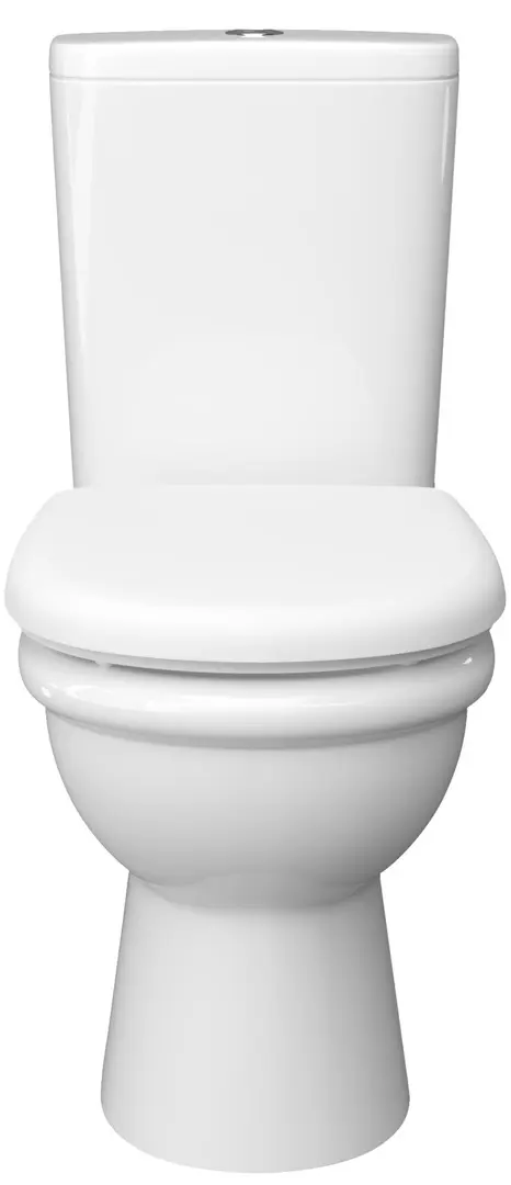 Унитаз с гигиеническим душем Керамин Ареццо МС + Mixxus SUS-333 (White/Inox)