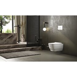 Унитаз подвесной Lucco Bello Rimless 100212 (White) Thumb