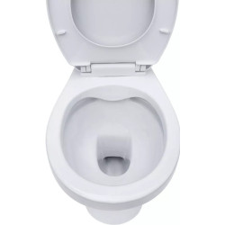 Унитаз с гигиеническим душем Nomi Libero Rimless + Mixxus SUS-333 (White/Inox) Thumb