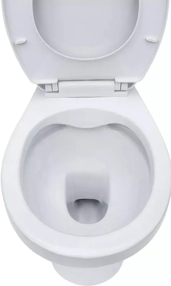 Унитаз с гигиеническим душем Nomi Libero Rimless + Mixxus SUS-333 (White/Inox)