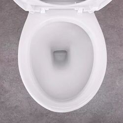 Унитаз-компакт Victory TR131P (White) Thumb