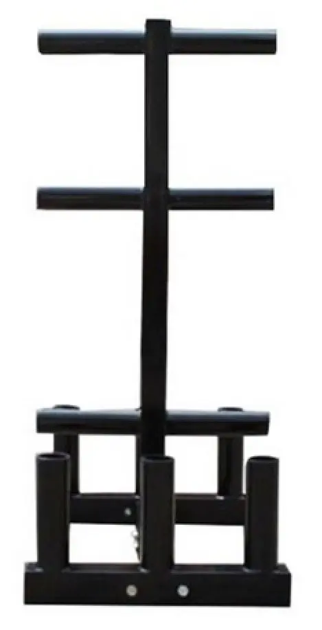 Suport pentru bare si discuri Dayu Fitness DY-DR-1036 (Black)