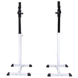 Стойка для штанги VidaXL 90363 (White/Black)