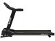 Беговая дорожка Orion Sprint C1 (Black)