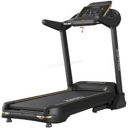 Беговая дорожка Zipro Pacemaker iConsole+ (Black/Gold)