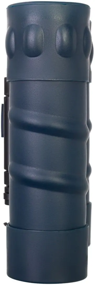 Binoclu Levenhuk Discovery Gator 10x25 (Black)