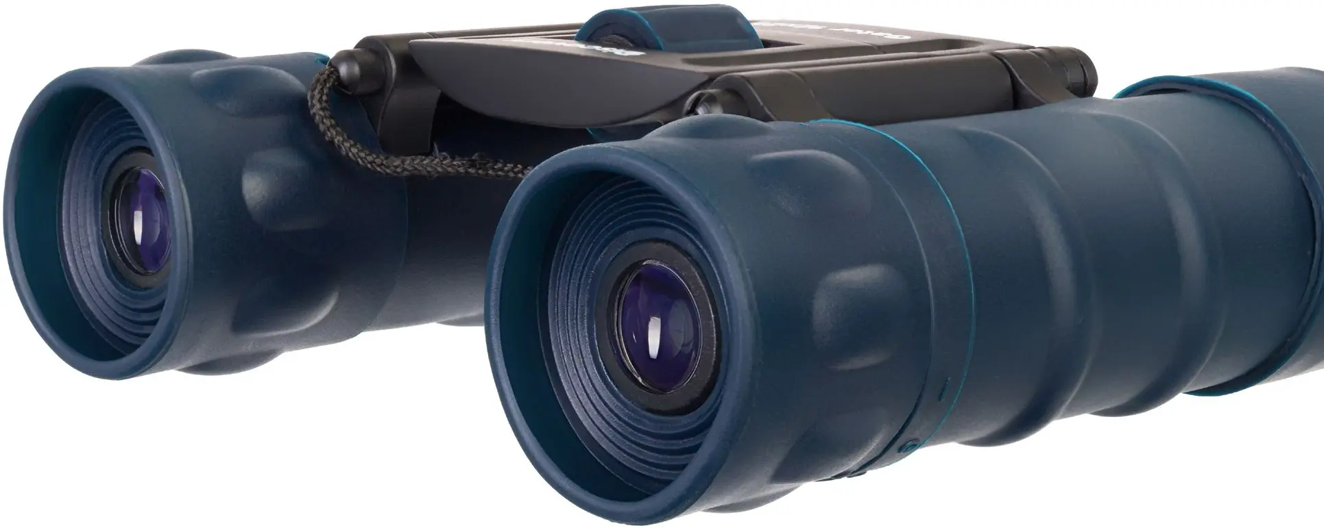 Binoclu Levenhuk Discovery Gator 10x25 (Black)