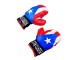 Детский набор для бокса LeanToys Puerto Rico 3716 (Red/Blue)